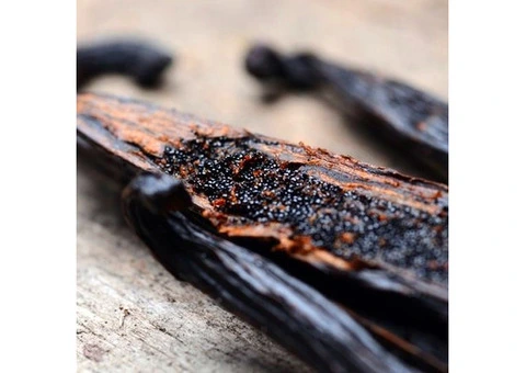 Vanilla Seeds at Lowest Price
