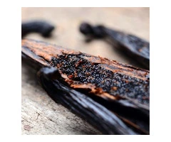 Vanilla Seeds at Lowest Price