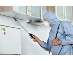 Pest Control Oxenford