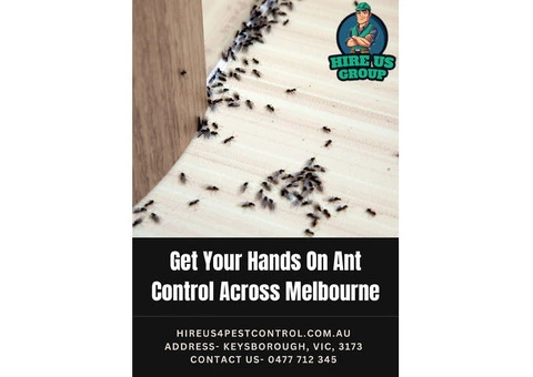 Get Your Hands On Ant Control Across Melbourne