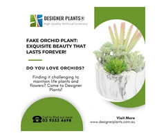 Fake Orchid Plant: Exquisite Beauty that Lasts Forever!