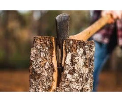 Professional Tree Removal in Caulfield: Expert Solutions for Your Tree Care Needs
