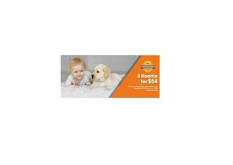 Looking for a Professional Carpet Cleaning Services Mount Martha, VIC?