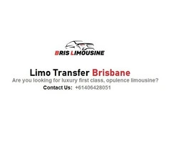 Airport limo service