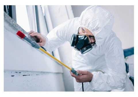 Top-Notch Professional Mould Removal Australia | Cheap Mould Removal - 1/4