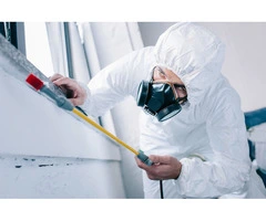 Top-Notch Professional Mould Removal Australia | Cheap Mould Removal
