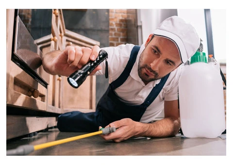 Top-Notch Professional Mould Removal Australia | Cheap Mould Removal - 3/4