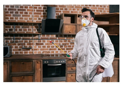 Top-Notch Professional Mould Removal Australia | Cheap Mould Removal - 4/4