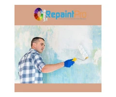 Transform Your Space: Interior House Painters Gold Coast