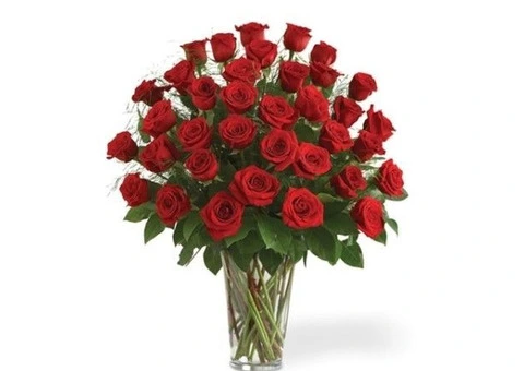 Send Valentine's day Roses delivery to your loved ones in Australia - 3/3