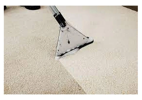 Premium Rug Cleaning Services Coomera