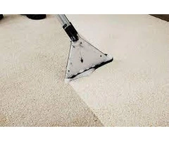 Premium Rug Cleaning Services Coomera