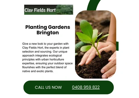 Planting in Melbourne: Tips for Plant Selection and Sourcing(