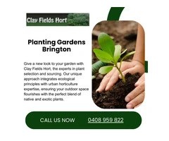 Planting in Melbourne: Tips for Plant Selection and Sourcing(
