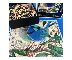 NEW RELEASE - Splendid Couple - Sally Edmonds