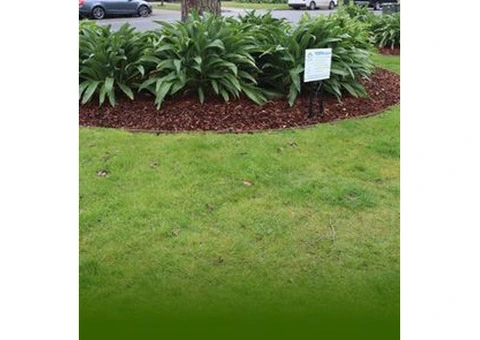 Soft Landscaping | Soft Landscaping Melbourne | Bayside Gardening