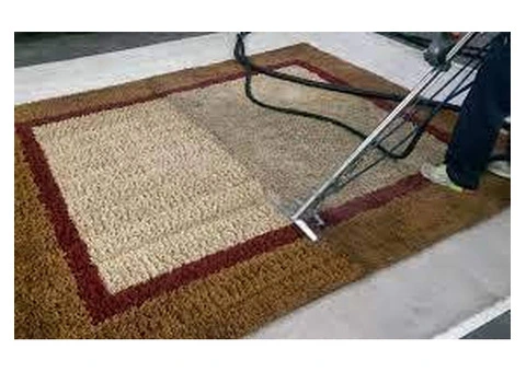 Professional Rug Cleaning Experts in Sydney