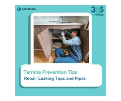 Termite Kitchen Pest Control