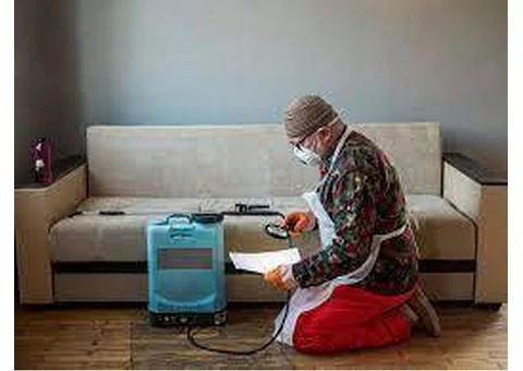 Pre Purchase Pest Inspections in Adelaide: Secure Your Property Investment