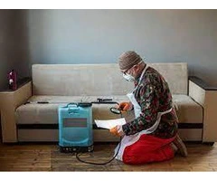 Pre Purchase Pest Inspections in Adelaide: Secure Your Property Investment