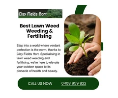Effective Lawn Weed Control And Fertilisation Techniques