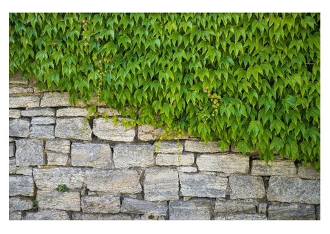 Fortify Your Landscape: Retaining Walls Built to Last