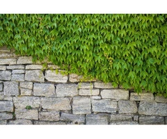 Fortify Your Landscape: Retaining Walls Built to Last