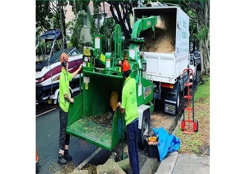 Tree Removal Bondi