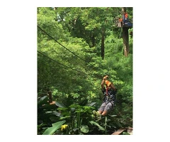 Unleash your inner adventurer in a tropical paradise with Zipline Fiji