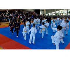 Checkout AMAF’s Training Philosophy on Karate Lessons Near Me Australia