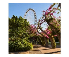 Conveyancing Logan City