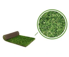 Grow Fresh Green Buffalo Grass Right Inside Your Budget