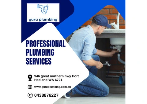 Professional Plumbing Services in Australia