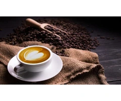 Gigante Techniflavour's Kingston Coffee