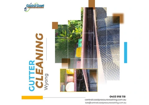 Hire the best professionals for Gutter cleaning in Wyong