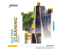 Hire the best professionals for Gutter cleaning in Wyong