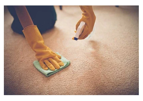 Carpet stain removal Sunshine Coast | De Vere Carpet and Leather Restorations