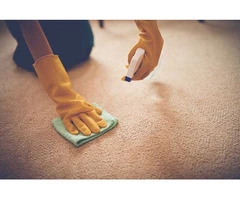 Carpet stain removal Sunshine Coast | De Vere Carpet and Leather Restorations
