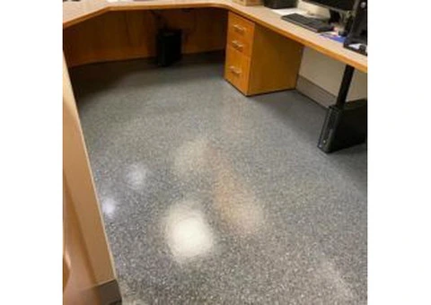 Professional Carpet Cleaning In Logan By Expert Cleaners