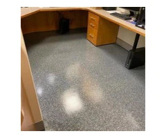 Professional Carpet Cleaning In Logan By Expert Cleaners