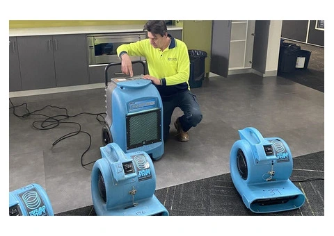 Professional Water-Damaged Carpet Cleaning Services in Melbourne