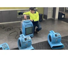 Professional Water-Damaged Carpet Cleaning Services in Melbourne