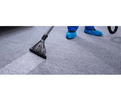 Refresh Your Carpets With Professional Steam Cleaning in Melbourne