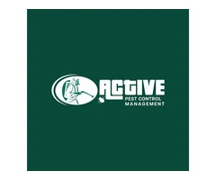 Silverfish Control Sydney