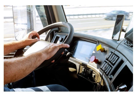 Ellis Driving School: Your Premier Destination for Mastering MR Licence Sydney