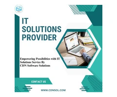 CDN Solutions Can Empower Tech Businesses with Their IT Solutions