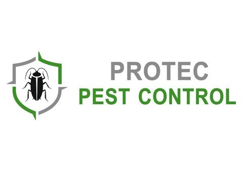 Effective Pest Control Services in Adelaide