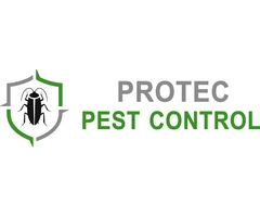 Effective Pest Control Services in Adelaide