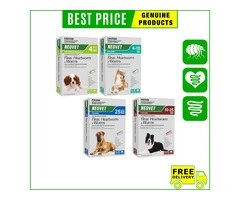 Does your Dogs encountered with Fleas, Heartworms and Worm?