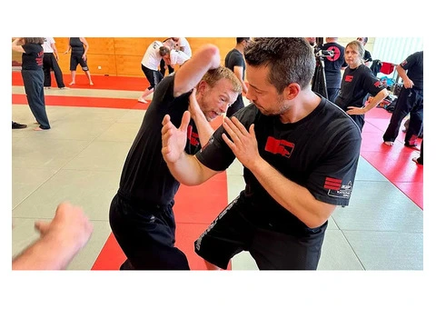 Unleash the Power of Mixed Martial Arts in Perth with this Comprehensive Guide